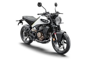 143975_Vitpilen 401 2024 (1)