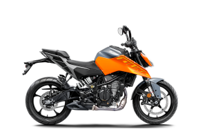 Diseño sin título (12)